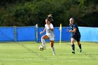 Women’s Soccer vs Endicott  Women's Soccer vs Endicott College. - Photo by Keith Nordstrom : Wheaton, Soccer